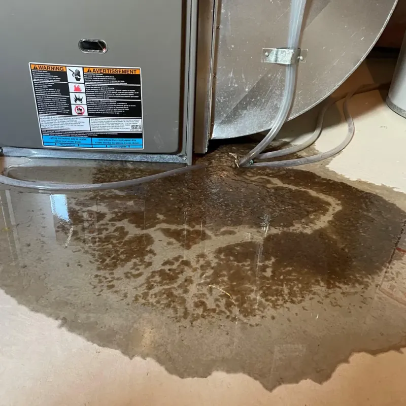 Appliance Leak Cleanup in Scott City, MO