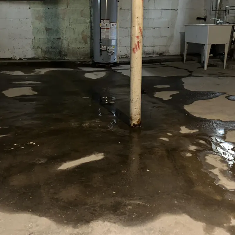 Emergency Water Extraction And Removal in Scott City, MO